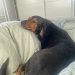 Photo from Emily’s gallery