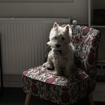 Photo from Emily’s gallery