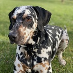 Photo from Emily’s gallery