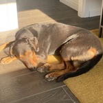 Photo from Emily’s gallery