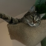 Fotografija iz galerije korisnika Kristene-Paula