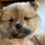 Photo from Kristene-Paula’s gallery