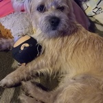 Photo from Nives’s gallery