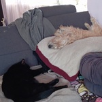 Photo from Nives’s gallery