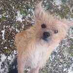 Photo from Nives’s gallery