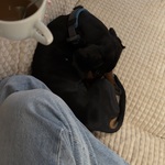 Photo from Tea’s gallery