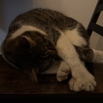 Photo from Tea’s gallery