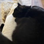 Photo from Tea’s gallery