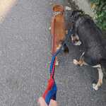 Photo from Ivana’s gallery