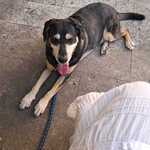 Photo from Ivana’s gallery