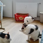 Fotografija iz galerije korisnika Tina