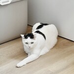 Fotografija iz galerije korisnika Tina