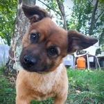 Photo from Marina’s gallery