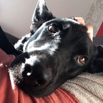 Photo from Mia’s gallery