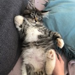 Photo from Mia’s gallery