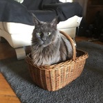 Photo from Mia’s gallery