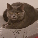 Photo from Irena’s gallery