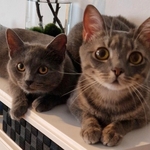 Photo from Irena’s gallery