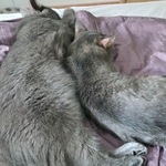 Photo from Irena’s gallery