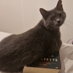 Photo from Irena’s gallery