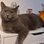 Photo from Irena’s gallery