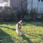 Fotografija iz galerije korisnika Marina