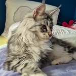 Fotografija iz galerije korisnika Marina