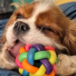 Fotografija iz galerije korisnika Marina