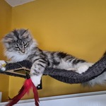 Fotografija iz galerije korisnika Marina