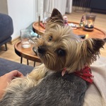 Fotografija iz galerije korisnika Dora