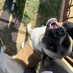 Fotografija iz galerije korisnika Dora