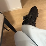 Fotografija iz galerije korisnika Dora