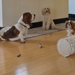 Fotografija iz galerije korisnika Marina