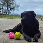 Fotografija iz galerije korisnika Petra