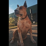 Fotografija iz galerije korisnika Petra