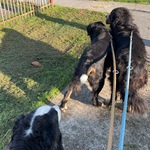 Fotografija iz galerije korisnika Mirjam