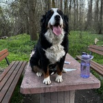 Fotografija iz galerije korisnika Mirjam