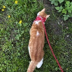 Fotografija iz galerije korisnika Mirjam