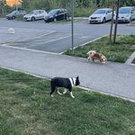 Photo from Estelle’s gallery