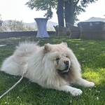 Photo from Estelle’s gallery