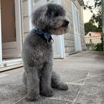 Photo from Ena’s gallery