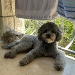 Photo from Ena’s gallery