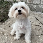 Photo from Marija’s gallery