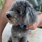 Photo from Marija’s gallery