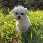 Photo from Marija’s gallery