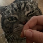 Photo from Marija’s gallery