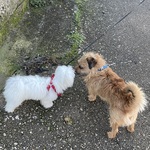 Photo from Marija’s gallery