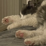 Photo from Hana’s gallery