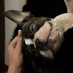 Photo from Hana’s gallery