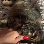 Photo from Hana’s gallery